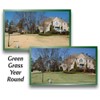 nviroColor 4EverGreen Grass Colorant/Turf Paint – 32 oz Concentrate Covers