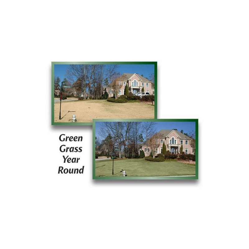 nviroColor 4EverGreen Grass Colorant/Turf Paint – 32 oz Concentrate Covers