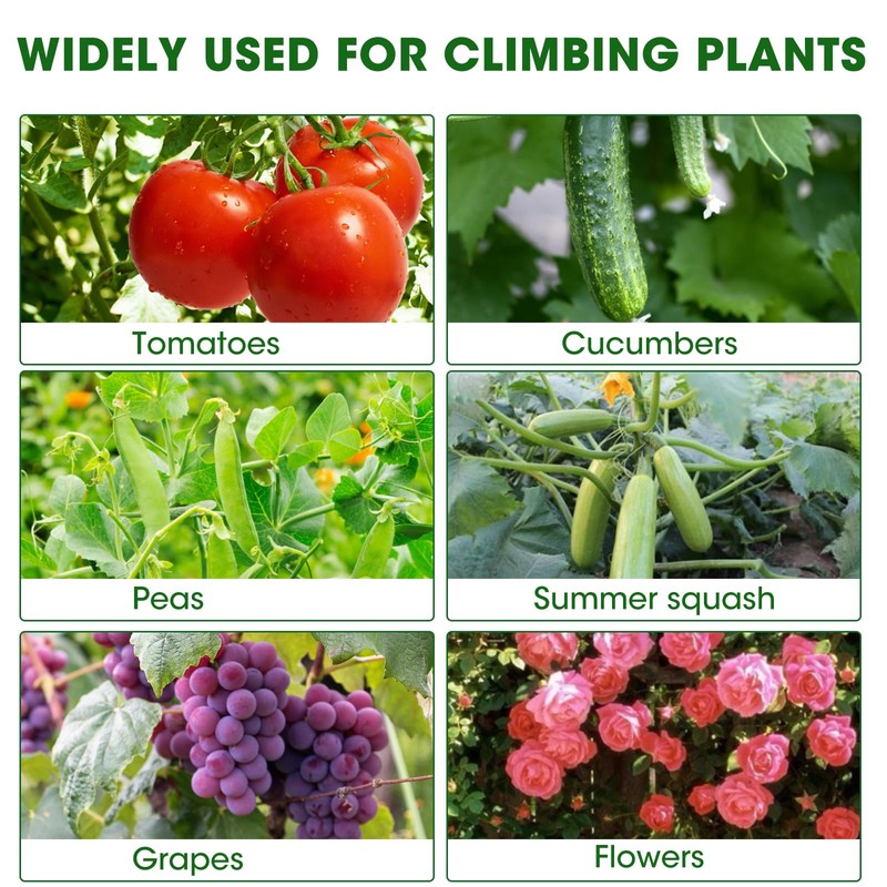 MQHUAYU Cucumber Trellis for Raised Bed,U-Shape Garden Trellis for Climbing