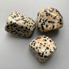 VIE Tumbled Crystals, Pack of 6, Dalmatian Jasper