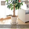 Yamazen STR-23 (BE) Natural Stone Sheet, Sold Separately, Diameter 9.1