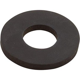 Pentair C69-2 Motor Water Slinger Replacement Sta-Rite Pool and Spa Pump