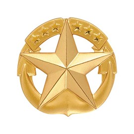 Navy Command At Sea Insignia