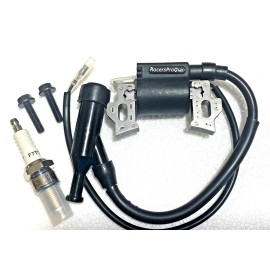 RacersProQuip Mini Bike Performance Coil 10,000 RPM ALL COPPER NO Rev Limit 24hrShip USA NEW