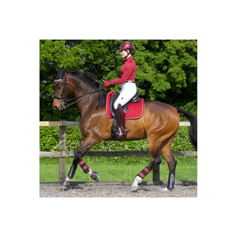 Woof Wear Close Contact Saddle Cloth - Shiraz