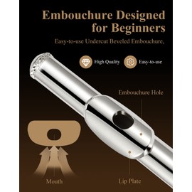 Eastar Open Hole 16 Keys Flute for Beginner Kids Student with Fingering Chart, Cleaning Kit, Stand, Case, Gloves, Tuning Rod, Silver, EFL-2