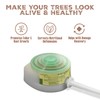 Mauget Inject-A-Min Iron Zinc - 6ml Zinc Sulfate & Iron