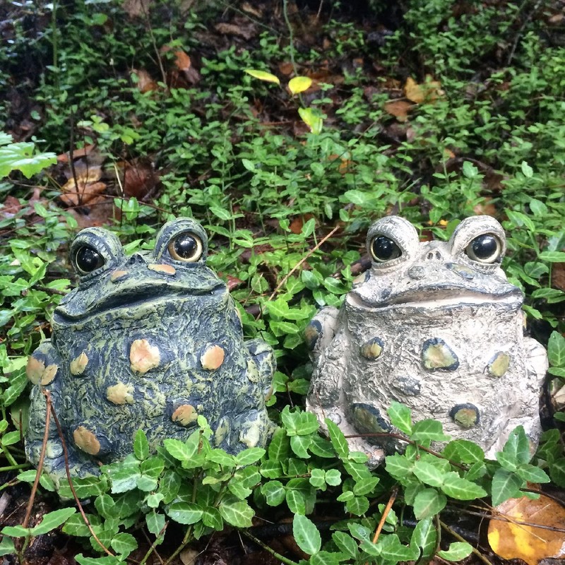 SUNGUARD Whimsical Toad Hollow Tall Stretch Medium Combo Pack Garden