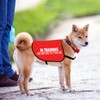 In Training Ask Before Petting Me Dog Jacket Vest Alert