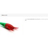 Slash Smooth Reactor Light 80G SL271 Green Gold Zebra