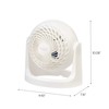 IRIS USA WOOZOO Air Circulator Fan, Vortex Fan, Desk Fan,