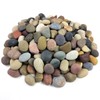 FANTIAN 20 lbs River Rocks for Plants, 1-2 Inch Decorative