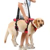 NOYAL Dog Lift Harness for Senior & Injured Pets –