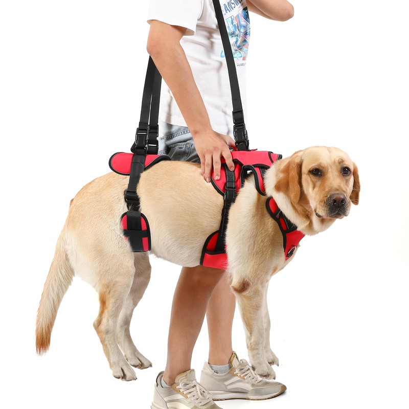 NOYAL Dog Lift Harness for Senior & Injured Pets –