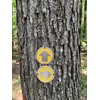Wild Drifter Trail Markers - Bright Reflective Trail Marker Pack