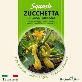 Squash Zucchetta Rugosa Friulana Seeds – Early Productive Heritage Italian Variety – Long Golden Yellow Blistered Fruits – Sweet Firm Flesh