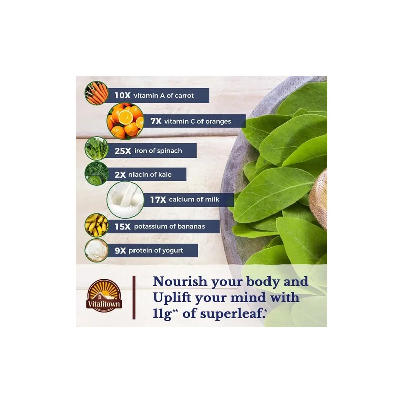Vitalitown Moringa 11000 Mg 240 Cápsulas