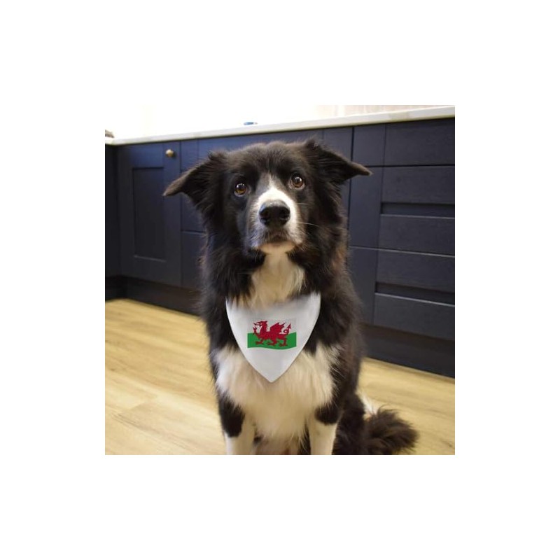 Large 'Waving Welsh Flag' Dog/Cat/Pet Bandana (PD00048184)