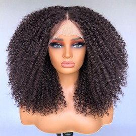 Lizzy Long Curly Lace Front Wigs For Black Women Pre Plucked With Baby Hair Curly Lace Front Wigs 13×4×1 HD Glueless Wig Kinky Curly Afro Synthetic Wigs 17inch (Dark Brown)