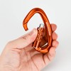 Carabiner 12KN Auto-lock BRAVESHINE Load Capacity 1,200 kg Locking Carabiner