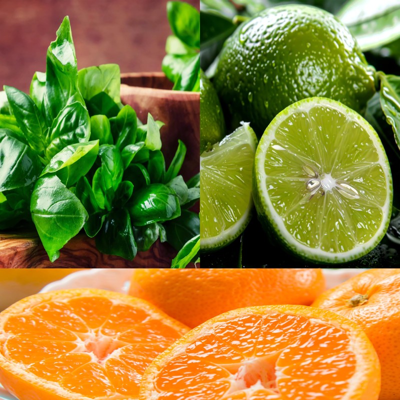 (Basil, Lime & Mandarin) 100% Soy, Highly Scented, Hand Poured