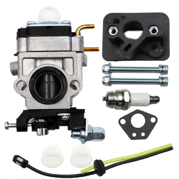 LIZAPUS 751-20089 Carburetor Compatible with MTD BP510 CMXGAAMR51BP 41AR51BP793, for