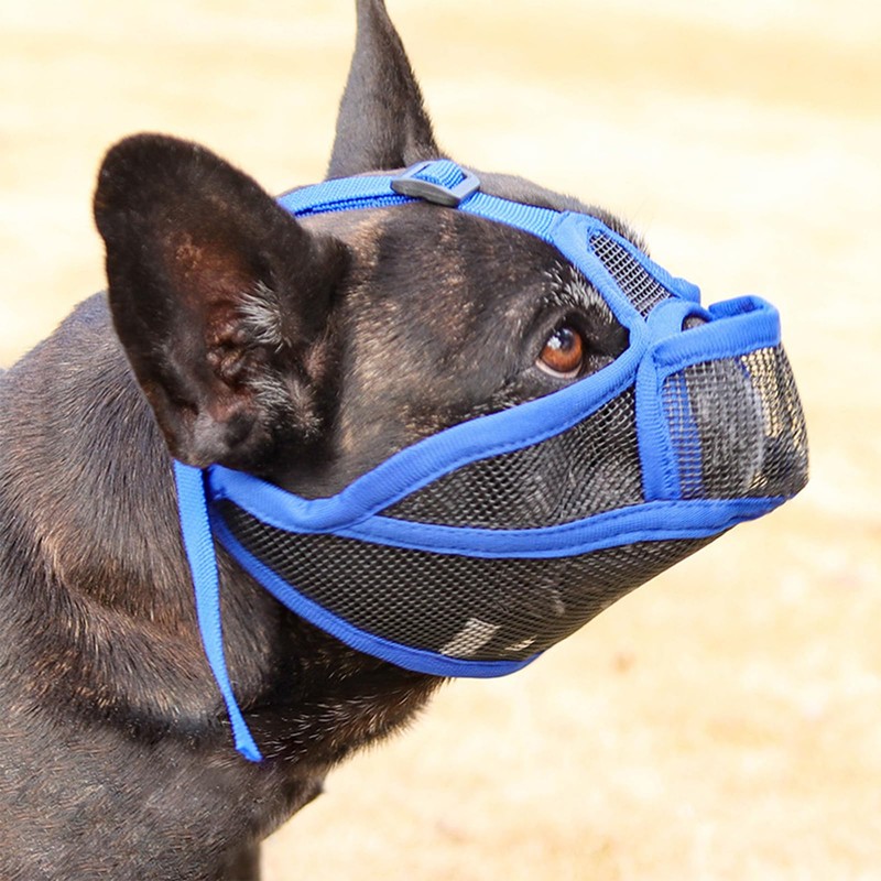 Coppthinktu Short Snout Dog Muzzle, Breathable Mesh French Bulldog Muzzle