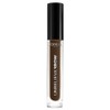 L'Oreal Unbelievabrow 107 Dark Brunette