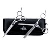 Estuche De Tijeras Para Estilista Barber Peluquero Aashta 6" Profesional