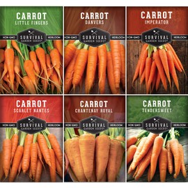Carrot Seeds Variety Pack for Planting – 6 Variety Carrot Seed Collection with Little Finger, Danvers, Scarlet Nantes, Tendersweet, Imperator 58, Chantenay Royal Carrots | Survival Garden Seeds