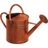 Panacea 84872 2 Gallon Brushed Bronze Watering Can, Brown