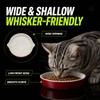 LivLab Mker Elevated Cat Food Bowl, Anti‑Vomiting Raised Cat Bowl