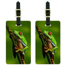 Green Red Eyed Tree Frog - Tropical Rainforest Luggage Tags Suitcase ID Set of 2