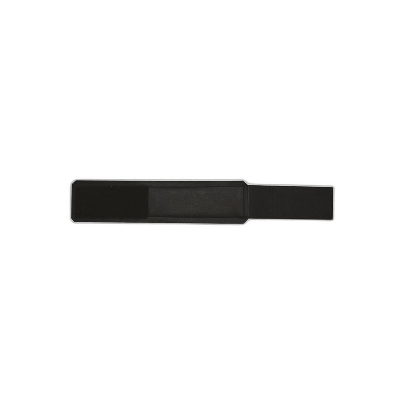 Pastern Guard
