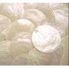 100 Capiz Shells White Round 2" (50mm) No Holes Crafts