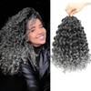 Naniciar Pretwisted Gogo Curl Crochet Hair 12 Inch 8 Packs