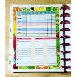 Handmade Nutrition Log Dashboard Insert 4 use with HAPPY Planner