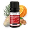 Casida Casida Adventszauber Duftmischung Weihnachtsduft C Duft?l 5 ml
