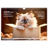 KATZEN-IRONIE Lach mal wieder (Wall Calendar 2026 DIN A4 Landscape),