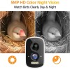 Camii Bird House with Camera, 5MP Smart Birdhouse Camera with