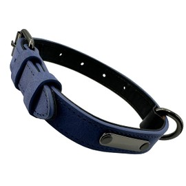 Adjustable Dog Collar Simple Robust Weather-Resistant for Puppies Small Medium Large Dogs Classic Collar Dog (XS: 1.5 cm Wide for 26 cm - 35 cm Neck, Blue)