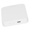 Wireless Smart Gateway Multi Mode 2.4G WiFi App Remote Control