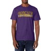 Minnesota Retro Vintage Weathered Stripe Throwback T-Shirt
