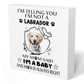 Labrador Wooden Box Sign, Labrador Retriever Gifts, Yellow Lab Gifts, Labrador Dog Decorations, Dog Signs for Home Decor, Labrador Wood Signs for Home Office Desk Table Shelf Decor, 5x5 Inch