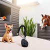 Dwuww Black Dog Training Clicker with Wrist Strap Resistant Lightweight