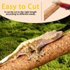 Repticircle Cork Branch for Reptiles – 19.6" Natural Climbing Wood