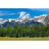 TrainJunkies Rocky Mountain Forest Model Railroad Backdrop - O Scale