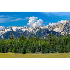 TrainJunkies Rocky Mountain Forest Model Railroad Backdrop - O Scale