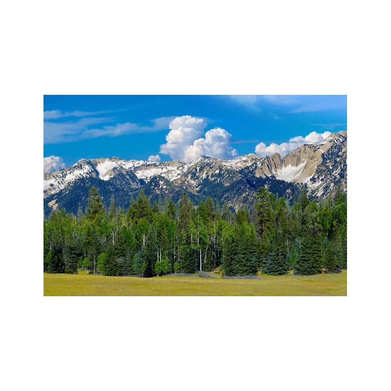 TrainJunkies Rocky Mountain Forest Model Railroad Backdrop - O Scale