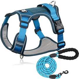 MESVIER Arnés para Perro Chico Mediano Grande con Correa 1.5m, Pechera para Perro Ajustable Reflectante Transpirable, Arneses para Perros Sin Tirones para Caminar Viajar Entrenar Perros Accesorios